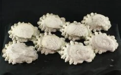 Set Of White Cast Plaster Bearded God Architectural Heads -OGT Sale Store q283408 16