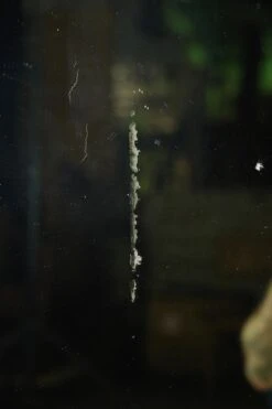 Antique 71 In. Carved Urn White Wooden Overmantel Mirror 26 Antique 71 In. Carved Urn White Wooden Overmantel Mirror -OGT Sale Store q284085 09