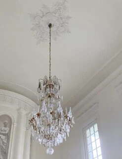 Antique French Louis XV Gilt Bronze & Crystal 20 Arm Cage Chandelier 30 Antique French Louis XV Gilt Bronze & Crystal 20 Arm Cage Chandelier -OGT Sale Store q284328 13