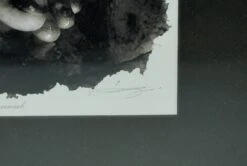 Framed Photograph Of Feet Signed By Vladimir Clavijo Russian Photographer 22 Framed Photograph Of Feet Signed By Vladimir Clavijo Russian Photographer -OGT Sale Store q284750 08