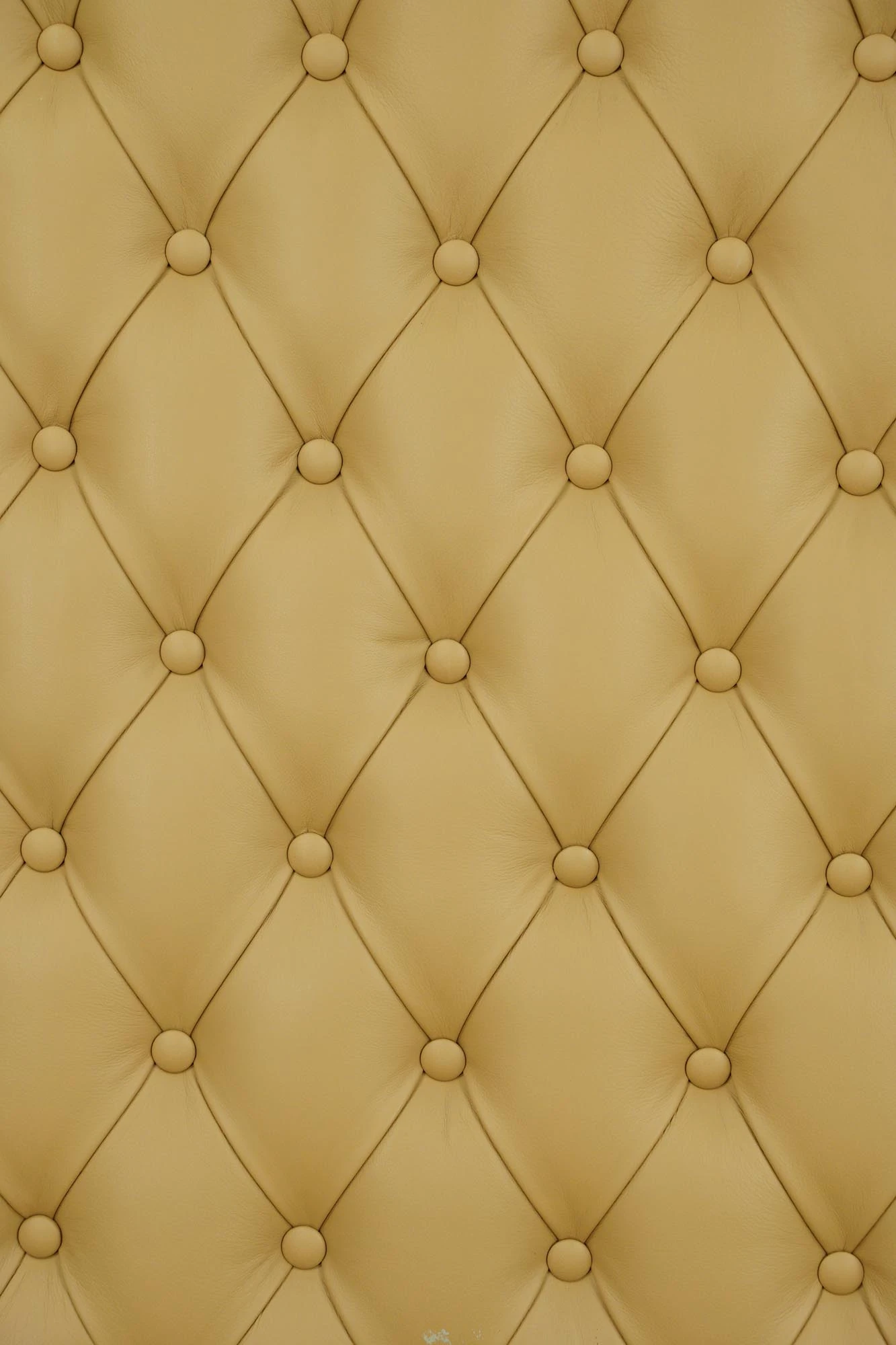 Pair Of Soundproof Tan Faux Leather Wall Panels 48.125 X 28.75 6 Pair Of Soundproof Tan Faux Leather Wall Panels 48.125 X 28.75 - Image 4