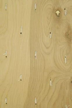 Pair Of Soundproof Tan Faux Leather Wall Panels 74.125 X 19.25 23 Pair Of Soundproof Tan Faux Leather Wall Panels 74.125 X 19.25 -OGT Sale Store q284893 10