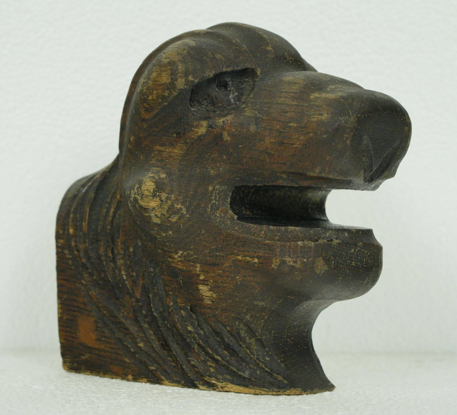 Hand Carved Chestnut Animal Head 6 Hand Carved Chestnut Animal Head - Image 4