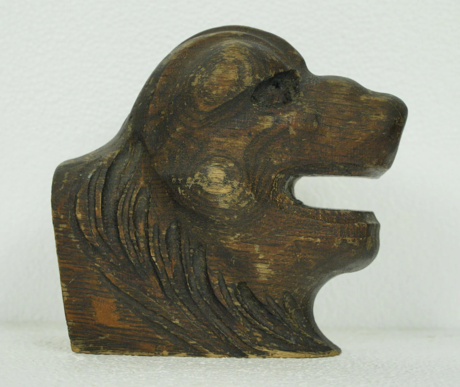 Hand Carved Chestnut Animal Head 7 Hand Carved Chestnut Animal Head - Image 5