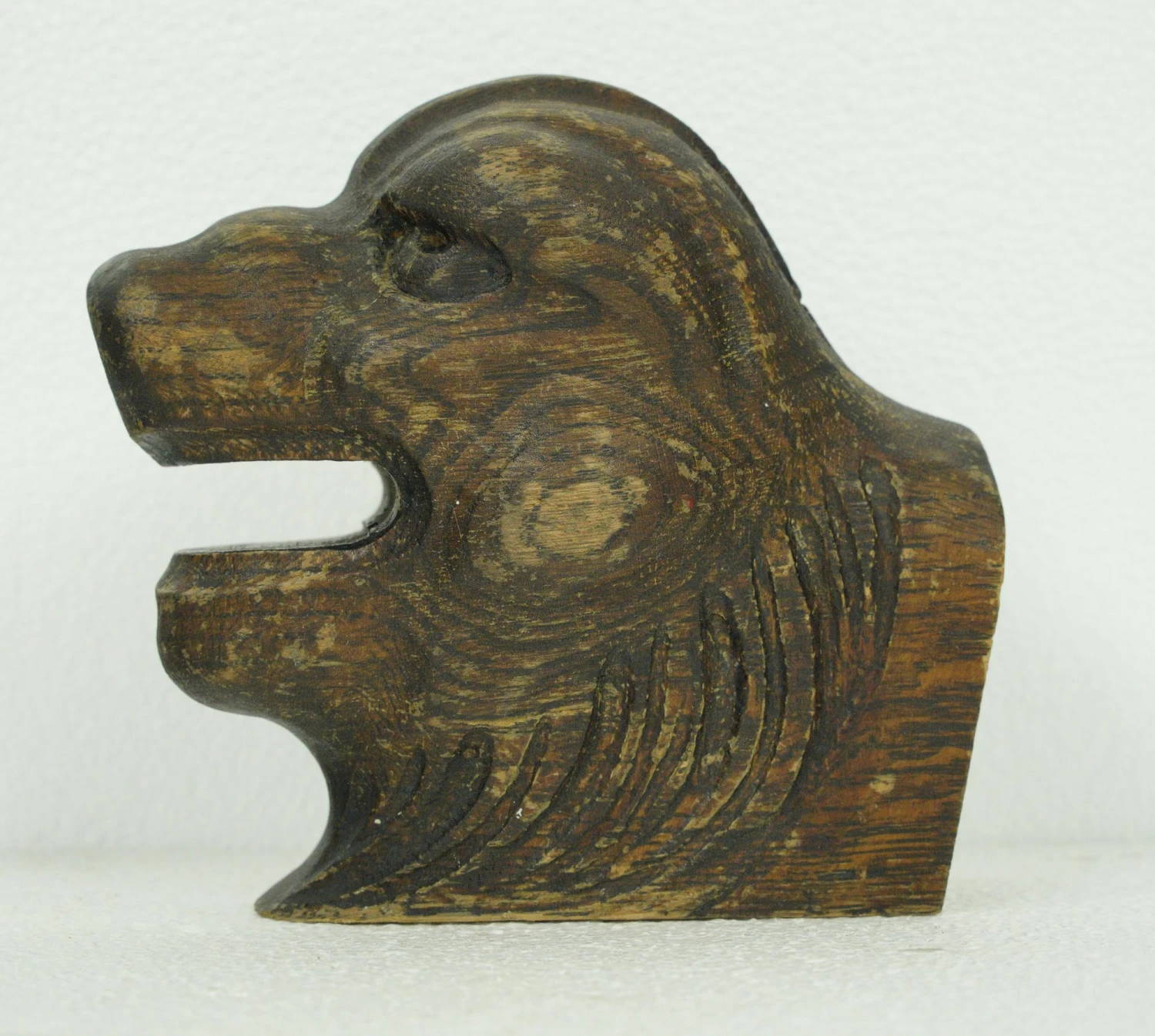 Hand Carved Chestnut Animal Head 8 Hand Carved Chestnut Animal Head - Image 6