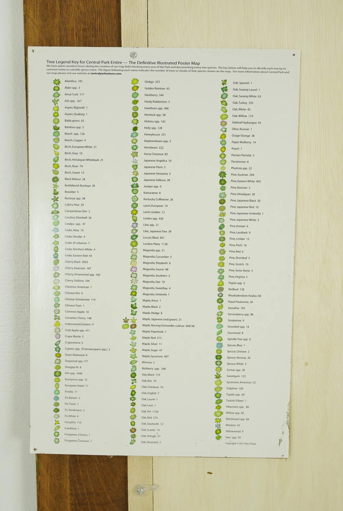 Reclaimed Tiger Oak Wood Molding Tree Legend Central Park Print 9 Reclaimed Tiger Oak Wood Molding Tree Legend Central Park Print - Image 7