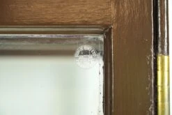 1910s Huge Antique English Museum Display Case Vitrine -OGT Sale Store q287588 04