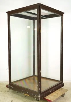 1910s Huge Antique English Museum Display Case Vitrine -OGT Sale Store q287588 05