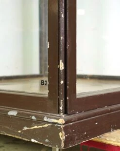 1910s Huge Antique English Museum Display Case Vitrine -OGT Sale Store q287588 06