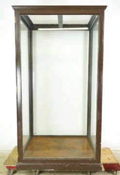 1910s Huge Antique English Museum Display Case Vitrine -OGT Sale Store q287588 11