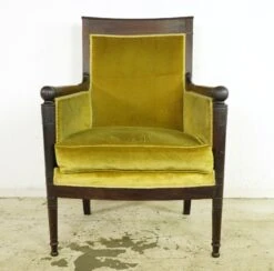 Antique European French Yellow Velvet & Wood Arm Chair