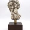 Silver Plated Bronze Wood Mounted Venus Goddess Bust 2 Silver Plated Bronze Wood Mounted Venus Goddess Bust -OGT Sale Store statues sculptures silver plated bronze wood mounted venus goddess bust q285288