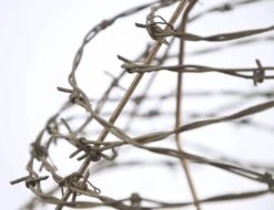 Eclectic Country Barbed Wire Kettle Table Lamp 15 Eclectic Country Barbed Wire Kettle Table Lamp -OGT Sale Store table lamps for sale q279169