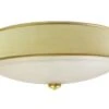 Hand Painted Flush Mount Light With Gold Leaf Gilt Details