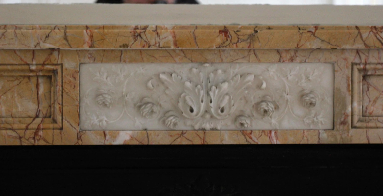 Waldorf Astoria Tan & Pink Marble Mantel With Floral Carvings 9 Waldorf Astoria Tan & Pink Marble Mantel With Floral Carvings - Image 7